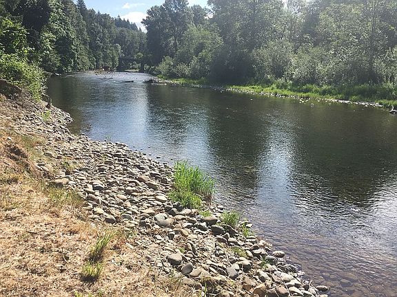Back yard Lewis River