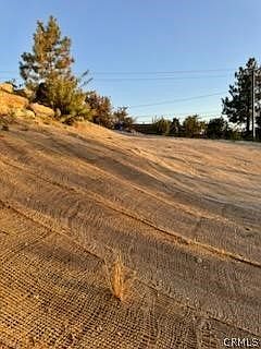 3rd image of 29036 Mammoth Dr