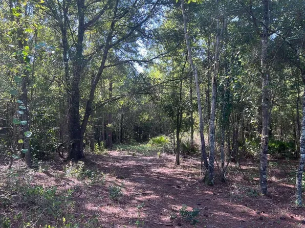 37 Ll Sellers Rd, Hazlehurst, GA 31539