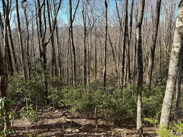 Lot 122 Black Oak Drive, Sapphire, NC 28774