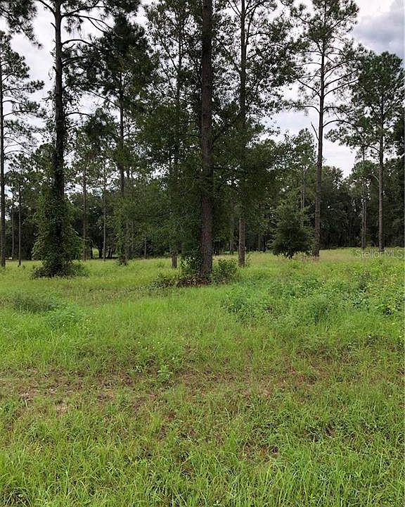 1st image of 24801 Bonsmara Dr