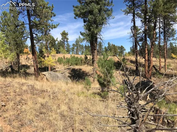 233 Overlook Cir, Woodland Park, CO 80863