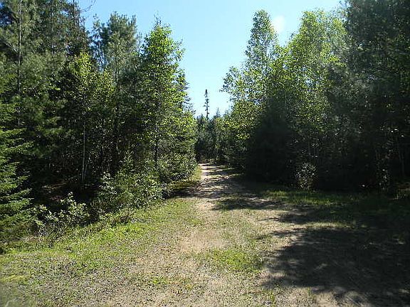 4th image of 22854 Duck Lake Trl