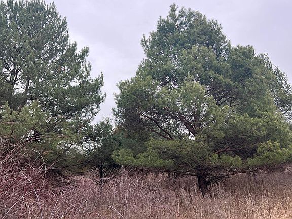 5th image of S Washington St