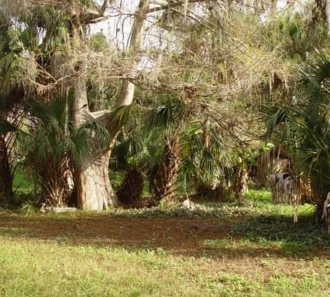 5th image of 1719 Caloosa Estates Ct