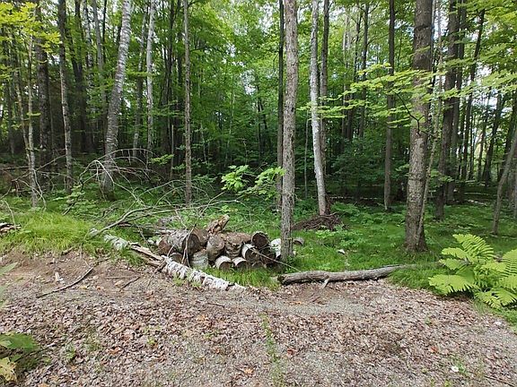 3rd image of 2580 Deer Ln
