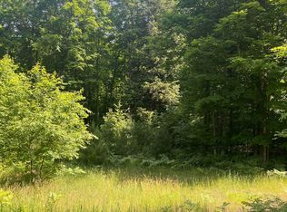 PARCEL Odell Rd #H, Williamsburg, MI 49690