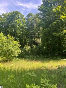 PARCEL Odell Rd #K, Williamsburg, MI, 49690