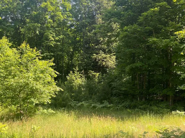 PARCEL Odell Rd #K, Williamsburg, MI 49690