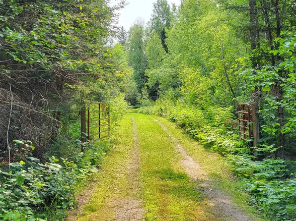 9986 Orr Buyck Rd, Orr, MN 55771