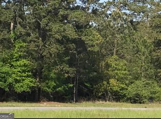 82 Lot 17 Hwy, Leesburg, GA 31763
