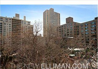 5th image of 132 E 19th St APT 7E