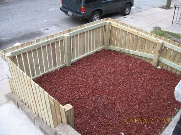 Front yard