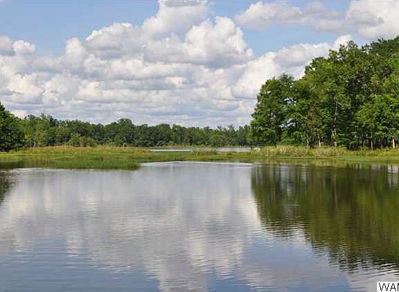 5th image of 0 Black Warrior Bay #111