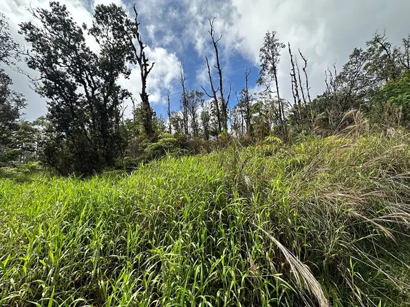 Road 6 Ooaa Lot 4187, Kurtistown, HI 96760