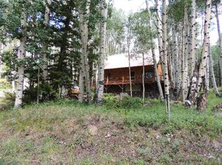 742 Sickles Street, Jasper, CO 81101
