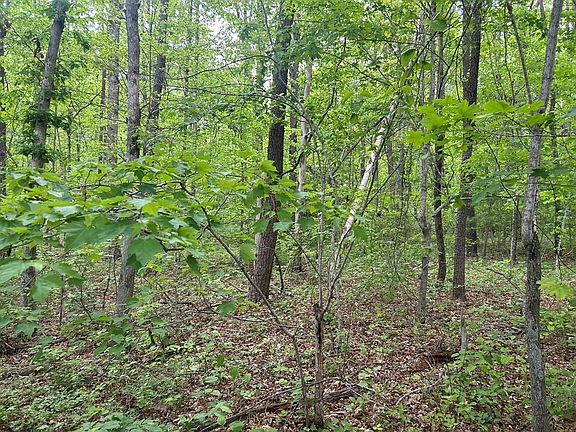 3rd image of Route Davis Rd #0