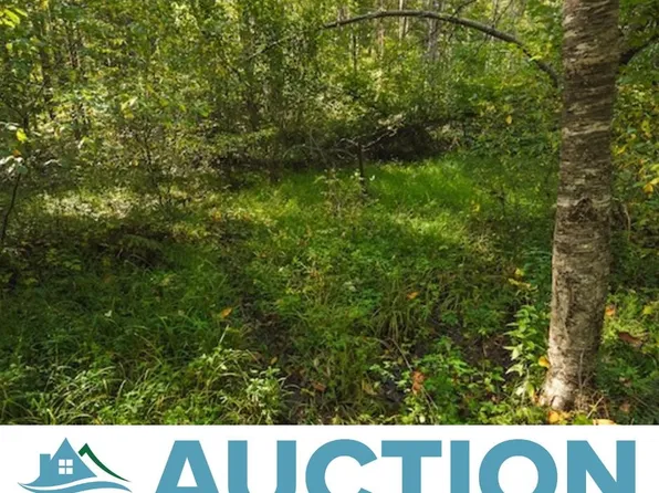 LOT 1 Twin Falls Rd NE, Copper Hill, VA 24079