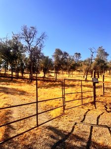 25388 White Thorne Rd, Clovis, CA, 93619