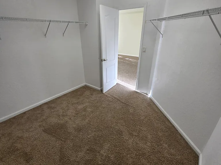 4701 Cohune Palm Ct — Photo 15