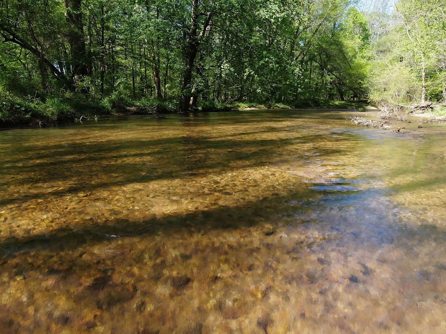 0 Second Creek Rd, Lutts, TN 38471 Zillow