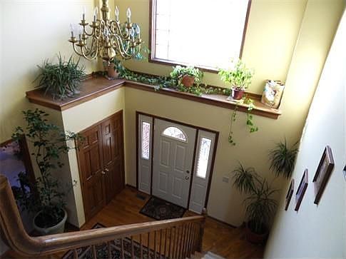 Plant Shelf