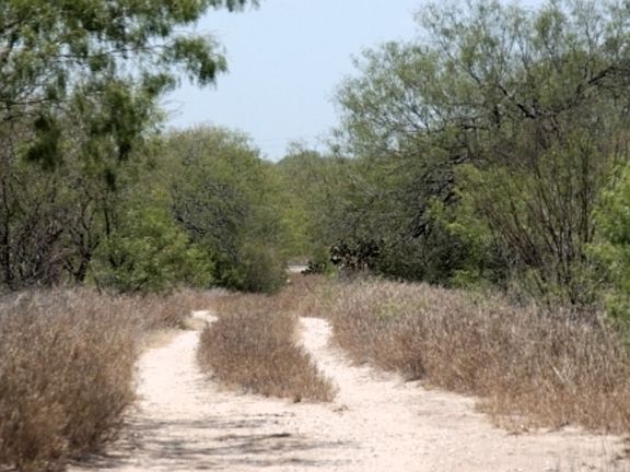 3rd image of County Road 103