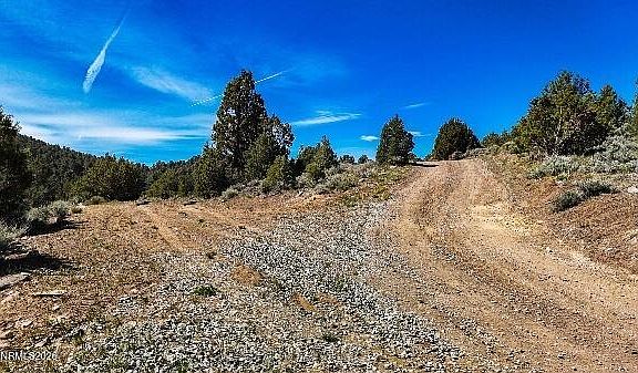 4th image of 2120 Castle Peak Rd