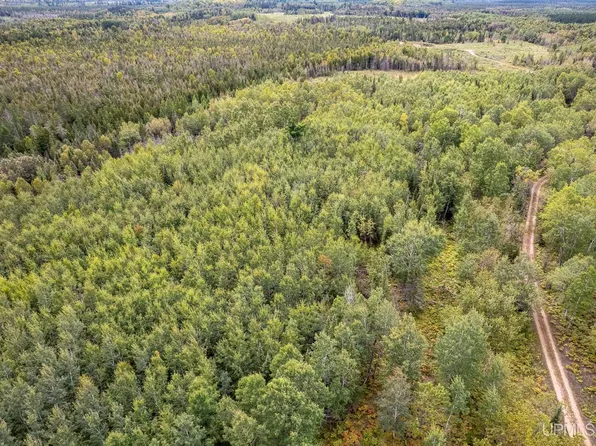 Off River Road South Rd #40, Perronville, MI 49873