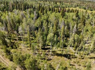LOT 81 S Station Way #I, Oak Creek, CO 80467