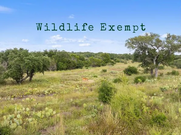 TBD W RR 962, Round Mountain, TX 78663