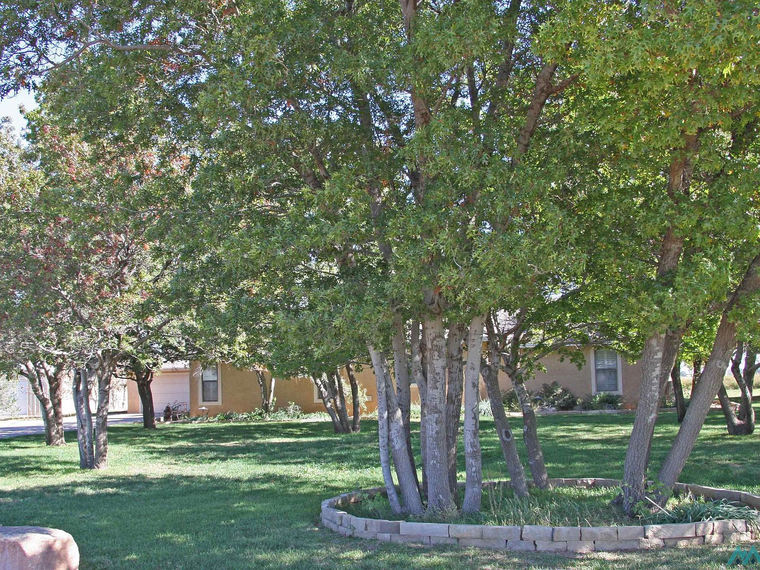 750 Ironwood Farwell, Farwell, TX 79325 MLS 20225946 Zillow