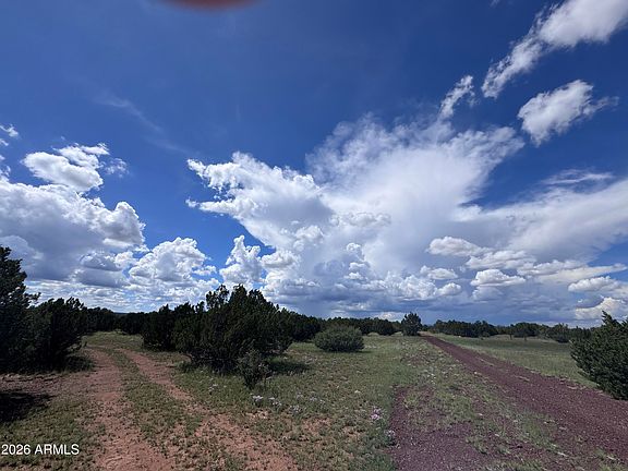 4th image of 1939 BOURDON RANCH Road #-