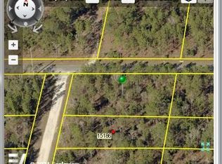 13350 Barnevelde Rd, Weeki Wachee, FL 34614