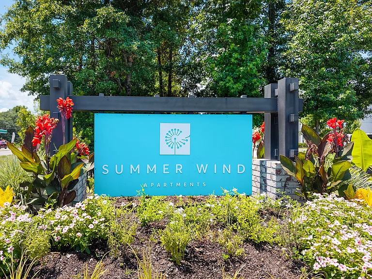 Summer Wind — Photo 19