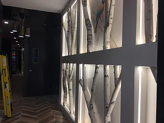 Rented by HFF Realty LLC