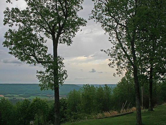 3rd image of 108 High Bluff Dr