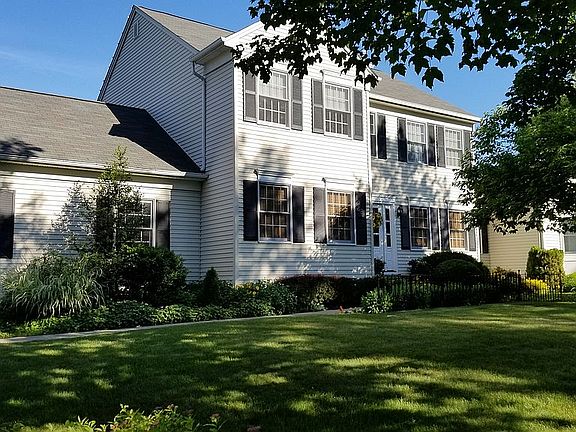 Shade Trees in Front Yard