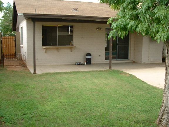 Grassy back yard w/shade and fruit trees