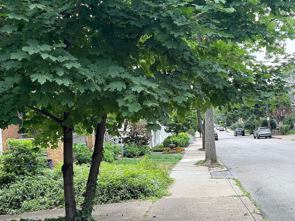 Street - front of the house