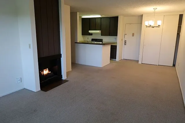1605 Hotel Cir S — Photo 4