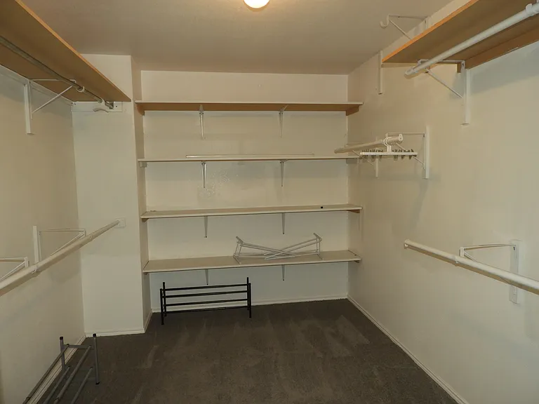 Oversized primary closet.
