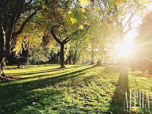 Rented by Alpha Properties NYC I LLC | media 18