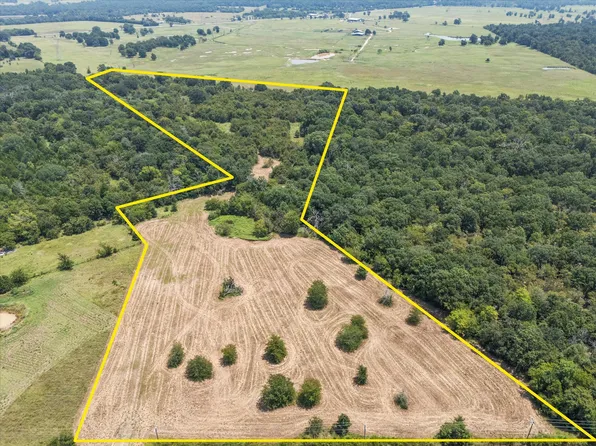 883 Fm 1653, Ben Wheeler, TX 75754