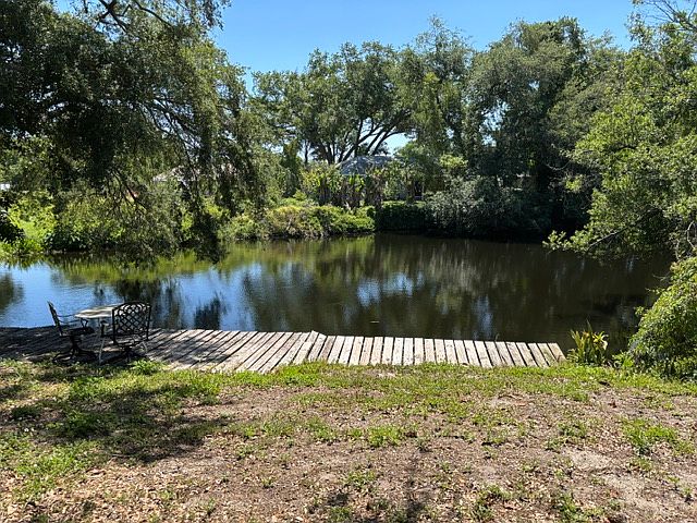Pond view