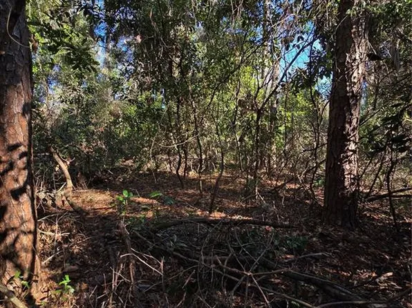 SW Alabama Gln, Fort White, FL 32038