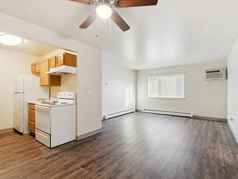 Living Room and Kitchen