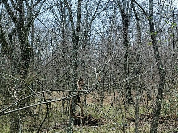 4th image of 1160 County Road 4405