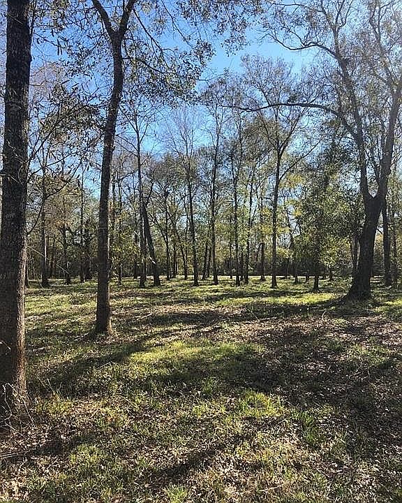 1st image of 0 Oak Bend Dr