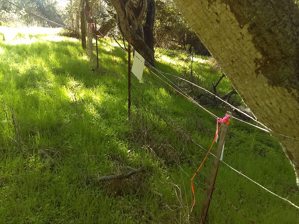 2nd image of LAND/LOT Paradise Rd